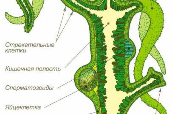 Кракен сайт купить наркотики