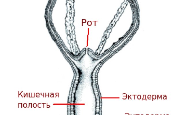 Кракен ссылка в тор