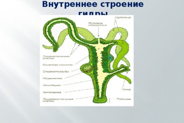 Модератор на кракене